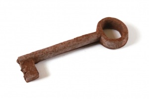 Not a Lot of Cash? Manage Your Social Media with These Tools